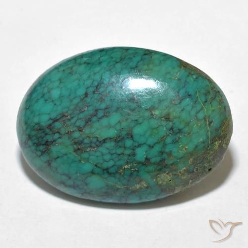15.2 ct Oval Turquoise, 23 x 16.6 mm From China, Photo A