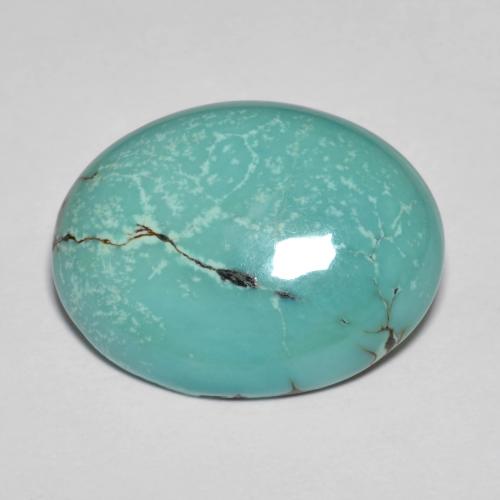 Turquesa Verde azulado Ovalada de 7.98 ct de China, dimensión 19 x 14,6mm, piedra preciosa natural No tratado, claridad Opaco, Turquesa Cabujón Óvalo de 1 pieza, dureza de Mohs de 5 - 6 , Photo A