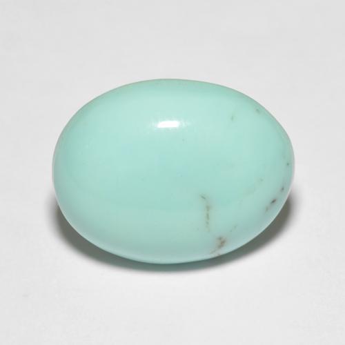 Turquesa Cabujón Óvalo de 6,76 ct de Estados Unidos, Dimensión 15,5 x 12,2mm, Claridad Opaco, Piedra preciosa natural No tratado, 1 pieza de Turquesa en color Verde azulado, Dureza Mohs de 5 - 6, Photo A