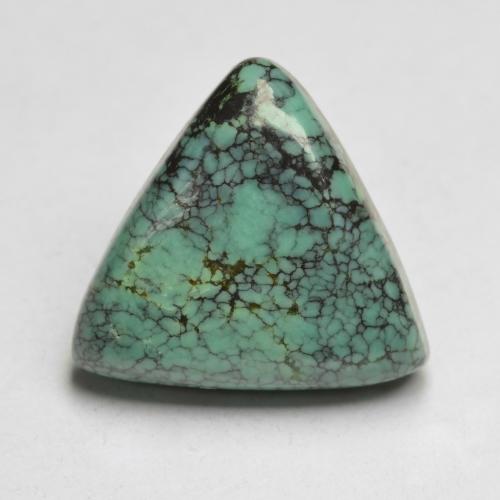 Turquoise trillion cabochon des Etats-Unis, 14,6 x 13,9mm, poids de 4,99 ct, pierre gemme naturelle Non traité de pureté Opaque , 1 pièce de turquoise, couleur Vert bleuté moyen, dureté Mohs de 5 à 6, Photo A