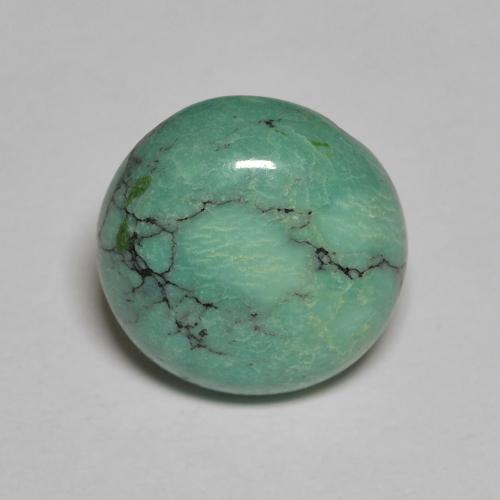Turquoise Tour en damier des États-Unis 2,65 ct, dimension 10,6mm, pureté Opaque , pierre gemme naturelle Non traité, 1 pièce de turquoise de couleur Vert moyen, dureté Mohs de 5 à 6, Photo A