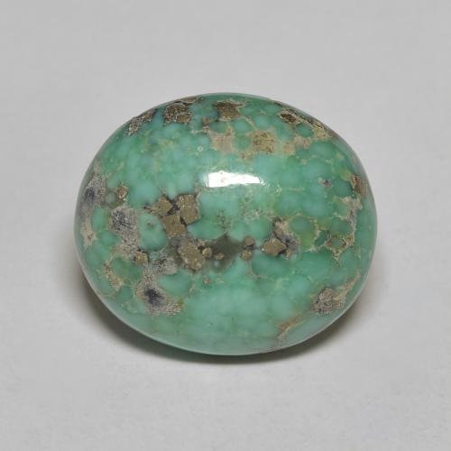 Turquesa Ovalada de 14,7 x 12,9mm de Estados Unidos, peso de 8.29 ct, piedra preciosa natural No tratado en Opaco Clarity, Turquesa Cabujón Óvalo de 1 pieza - Color: Verde azulado medio, dureza Mohs de 5 - 6, Photo A