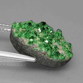 Uvarovite Garnet Drusy Gemstone in 15.6 x 12.1 mm Size for Sale, Uvarovite Garnet Drusy Stone in Deep Earthy Green Color