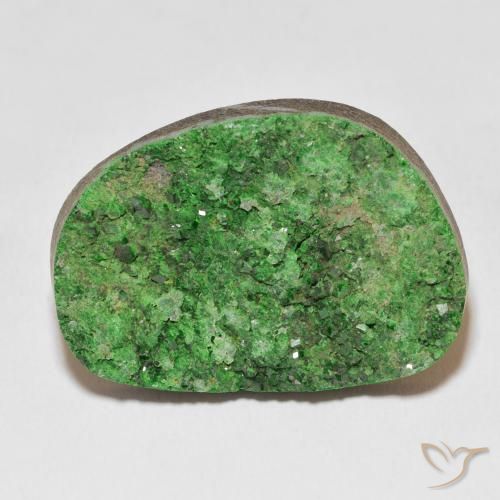 46.78ct Natural Medium Green Uvarovite Garnet Drusy, Fancy, Opaque