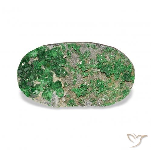 7.91ct Deep Earthy Green Uvarovite Garnet Drusy, Oval, Opaque
