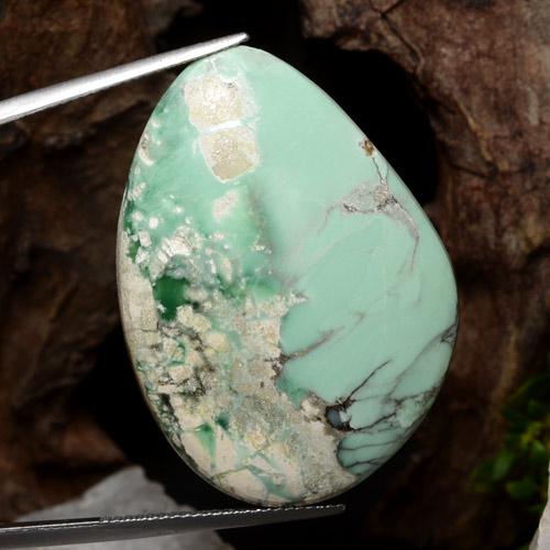 Vert multicolore Variscite gemme - 32.7ct Cabochon fantaisie (ID: 471253)