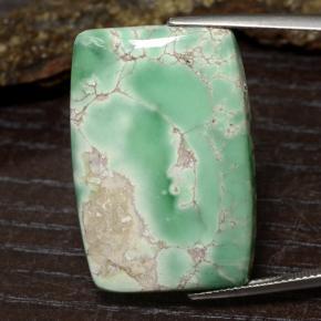 28.7ct Barrel Cabochon Green Variscite for sale thumb image of 28.7ct Barrel Cabochon Green Variscite (ID: 475078)