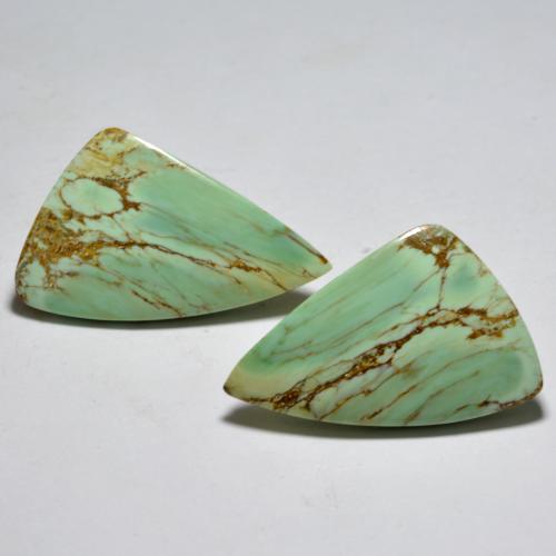 13.54 ctw Green Variscite Gemstones, Variscite Gems in Fancy Cabochon Shape for Sale.