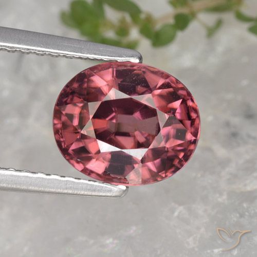 3.3ct Oval Facet Pink Red Zircon for sale thumb image of 3.3ct Oval Facet Pink Red Zircon (ID: 379570)