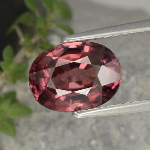 Rojo medio Circón Gema - 3.3ct Forma ovalada (ID: 379626)