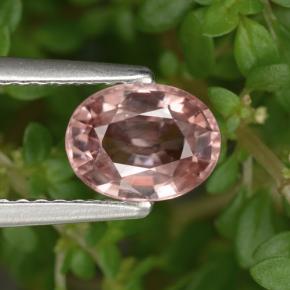 Оттенки розового Циркон Камень - 1.5ct Фасетный Овал (ID: 400068)