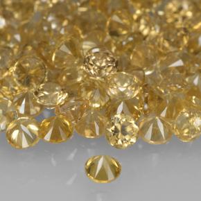 Zircon Gemstones in 2 mm (calibrated) Size for Sale, Zircon Stones in Yellow Golden Color