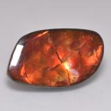 thumb image of 20.3ct Fancy Cabochon Multicolor Ammolite (ID: 523386)