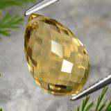 thumb image of 8ct Briolette avec un trou Jaune doré Citrine (ID: 366683)