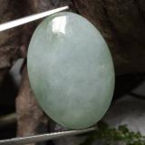 Jade Gemstone Information - GemSelect