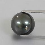 thumb image of 13.5ct Spherical Dark Gray Pearl (ID: 338209)