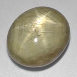 thumb image of 44.9ct Oval Cabochon Earthy Yellow Star Sapphire (ID: 522540)