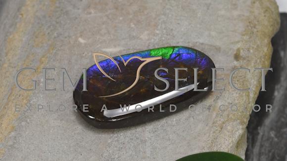 16.63ct Multicolor Ammolite, Fancy Shape, 26.7x14.4 mm