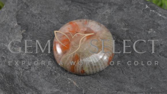コーラルパーツ セット 自然色 7.51ct Natural Multicolor Coral, Round, Translucent